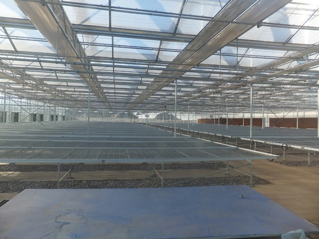 智能溫室